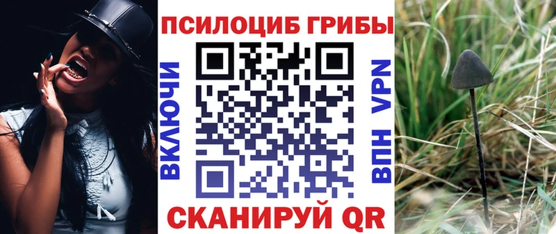 Псилоцибиновые грибы мухоморы  где купить наркоту  Шлиссельбург 
