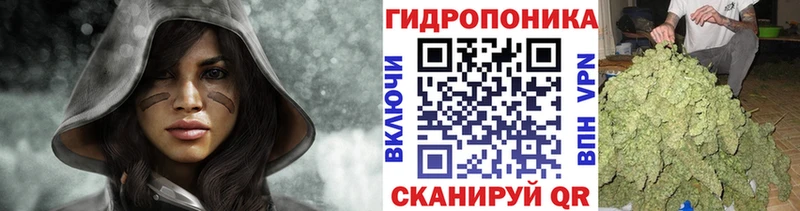 Бошки марихуана планчик  Шлиссельбург 